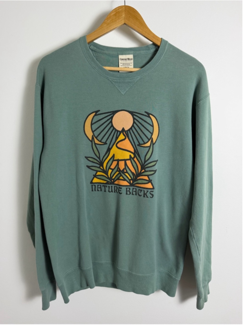 Nature Backs Giza Mountain Sun Graphic Sweatshirt Sage Green Small